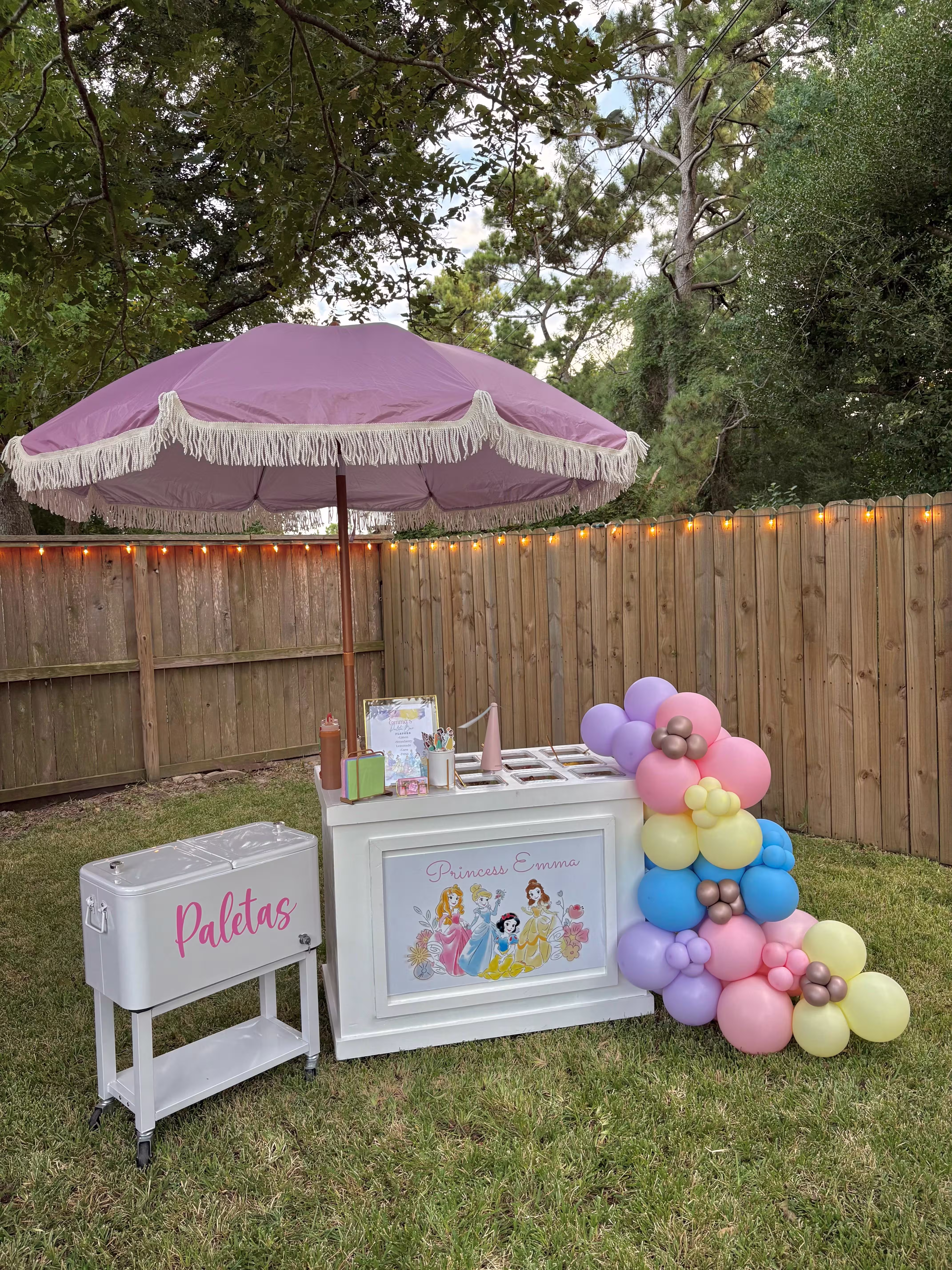Paleta cart rental for Houston events